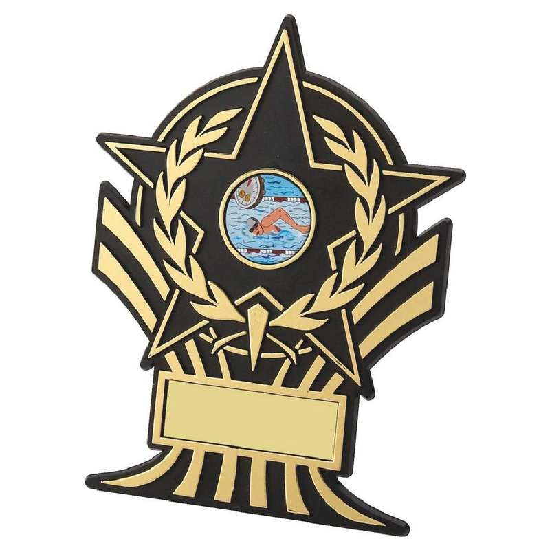 Black Plastic Star Award Plaque 100mm – Gold/Black