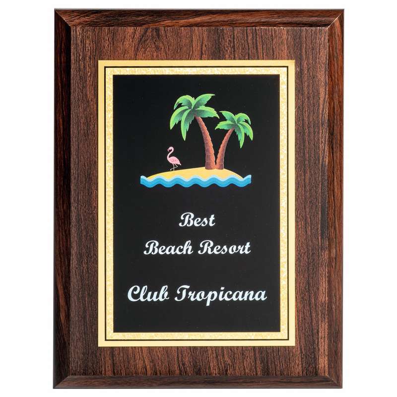 Presentation Corporate Plaque with Colour Print 200mm – Dark Wood